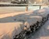 東京は大雪になりました！